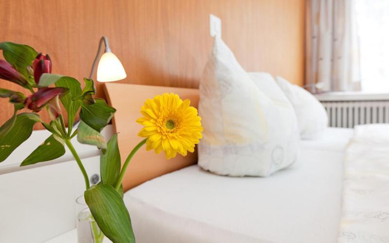 Hotel Piz Badus Andermatt Δωμάτιο φωτογραφία