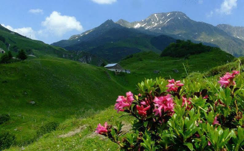 Hotel Piz Badus Andermatt Εξωτερικό φωτογραφία